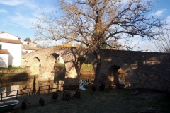 Anello di Montozzi