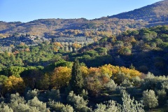 Borghi e Colline