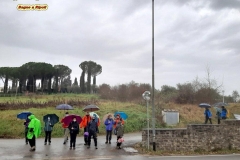 Borghi e Colline