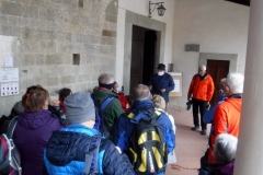 Bosco ai Frati