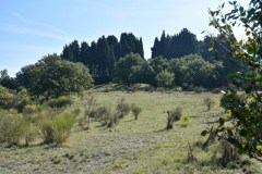 CALCIT Monte Pilli