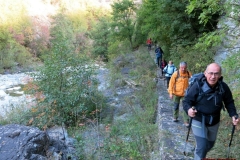 Castagni del Diaterna