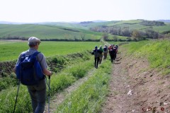 Crete Senesi