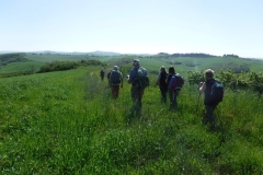 Crete Senesi