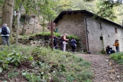 Faggeta di Campigna