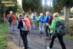 Foresta di Berignone