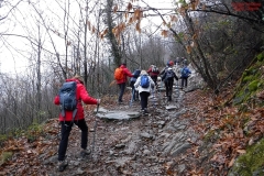 Pian d'Albero